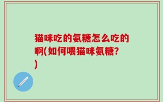 猫咪吃的氨糖怎么吃的啊(如何喂猫咪氨糖？)