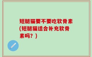 短腿猫要不要吃软骨素(短腿猫适合补充软骨素吗？)