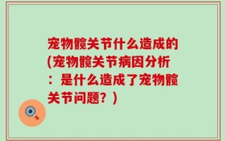 宠物髋关节什么造成的(宠物髋关节病因分析：是什么造成了宠物髋关节问题？)