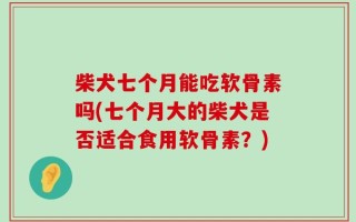 柴犬七个月能吃软骨素吗(七个月大的柴犬是否适合食用软骨素？)