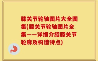 膝关节轮轴图片大全图集(膝关节轮轴图片全集——详细介绍膝关节轮廓及构造特点)