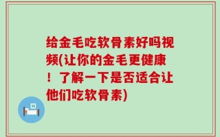 给金毛吃软骨素好吗视频(让你的金毛更健康！了解一下是否适合让他们吃软骨素)
