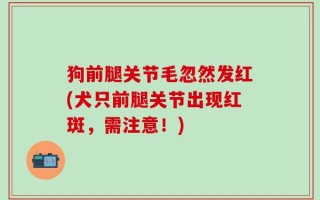 狗前腿关节毛忽然发红(犬只前腿关节出现红斑，需注意！)