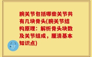 腕关节包括哪些关节共有几块骨头(腕关节结构原理：解析骨头块数及关节组成，厘清基本知识点)