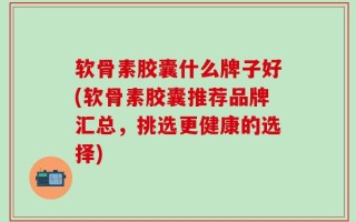 软骨素胶囊什么牌子好(软骨素胶囊推荐品牌汇总，挑选更健康的选择)