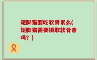 短脚猫要吃软骨素么(短脚猫需要摄取软骨素吗？)