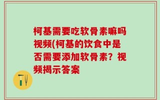 柯基需要吃软骨素嘛吗视频(柯基的饮食中是否需要添加软骨素？视频揭示答案