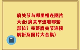 肩关节与哪里相连图片大全(肩关节连着哪些部位？完整肩关节连接解析及图片大合集)