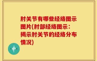 肘关节有哪些经络图示图片(肘部经络图示：揭示肘关节的经络分布情况)