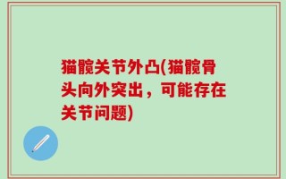 猫髋关节外凸(猫髋骨头向外突出，可能存在关节问题)