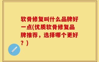 软骨修复叫什么品牌好一点(优质软骨修复品牌推荐，选择哪个更好？)
