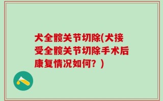 犬全髋关节切除(犬接受全髋关节切除手术后康复情况如何？)