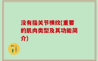 没有指关节横纹(重要的肌肉类型及其功能简介)