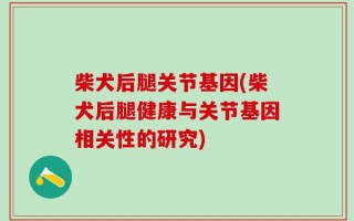 柴犬后腿关节基因(柴犬后腿健康与关节基因相关性的研究)