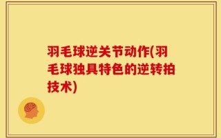 羽毛球逆关节动作(羽毛球独具特色的逆转拍技术)