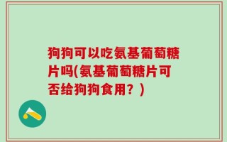 狗狗可以吃氨基葡萄糖片吗(氨基葡萄糖片可否给狗狗食用？)