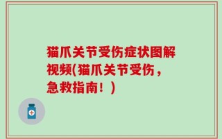 猫爪关节受伤症状图解视频(猫爪关节受伤，急救指南！)