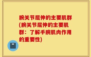 腕关节屈伸的主要肌群(腕关节屈伸的主要肌群：了解手腕肌肉作用的重要性)