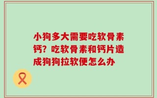 小狗多大需要吃软骨素钙？吃软骨素和钙片造成狗狗拉软便怎么办