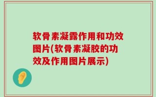 软骨素凝露作用和功效图片(软骨素凝胶的功效及作用图片展示)