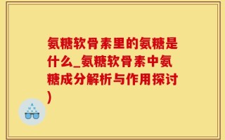氨糖软骨素里的氨糖是什么_氨糖软骨素中氨糖成分解析与作用探讨)