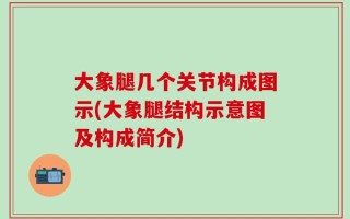 大象腿几个关节构成图示(大象腿结构示意图及构成简介)