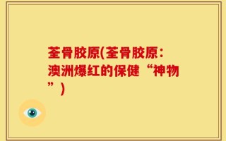 荃骨胶原(荃骨胶原：澳洲爆红的保健“神物”)