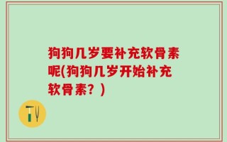 狗狗几岁要补充软骨素呢(狗狗几岁开始补充软骨素？)