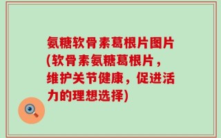 氨糖软骨素葛根片图片(软骨素氨糖葛根片，维护关节健康，促进活力的理想选择)