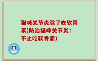 猫咪关节炎除了吃软骨素(防治猫咪关节炎：不止吃软骨素)