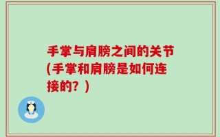 手掌与肩膀之间的关节(手掌和肩膀是如何连接的？)