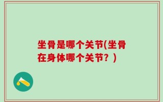 坐骨是哪个关节(坐骨在身体哪个关节？)