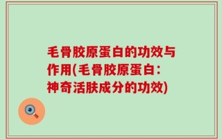 毛骨胶原蛋白的功效与作用(毛骨胶原蛋白：神奇活肤成分的功效)