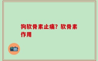 狗软骨素止痛？软骨素作用