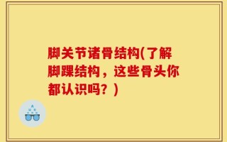 脚关节诸骨结构(了解脚踝结构，这些骨头你都认识吗？)