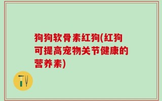 狗狗软骨素红狗(红狗可提高宠物关节健康的营养素)