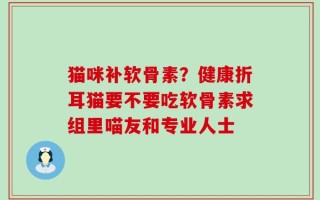 猫咪补软骨素？健康折耳猫要不要吃软骨素求组里喵友和专业人士