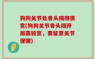 狗狗关节处骨头隔得很宽(狗狗关节骨头隔开距离较宽，需留意关节保健)