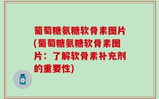 葡萄糖氨糖软骨素图片(葡萄糖氨糖软骨素图片：了解软骨素补充剂的重要性)