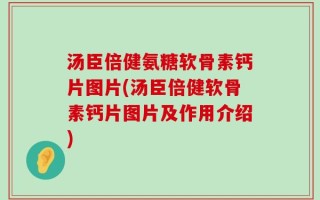 汤臣倍健氨糖软骨素钙片图片(汤臣倍健软骨素钙片图片及作用介绍)