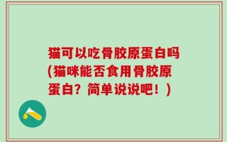 猫可以吃骨胶原蛋白吗(猫咪能否食用骨胶原蛋白？简单说说吧！)