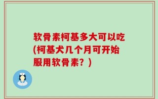 软骨素柯基多大可以吃(柯基犬几个月可开始服用软骨素？)