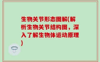生物关节形态图解(解析生物关节结构图，深入了解生物体运动原理)