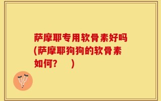 萨摩耶专用软骨素好吗(萨摩耶狗狗的软骨素如何？　)