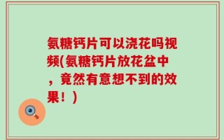 氨糖钙片可以浇花吗视频(氨糖钙片放花盆中，竟然有意想不到的效果！)
