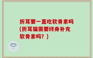 折耳要一直吃软骨素吗(折耳猫需要终身补充软骨素吗？)