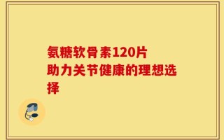 氨糖软骨素120片 助力关节健康的理想选择