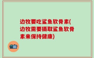 边牧要吃鲨鱼软骨素(边牧需要摄取鲨鱼软骨素来保持健康)