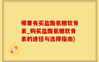 哪里有买盐酸氨糖软骨素_购买盐酸氨糖软骨素的途径与选择指南)