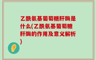 乙酰氨基葡萄糖肝酶是什么(乙酰氨基葡萄糖肝酶的作用及意义解析)